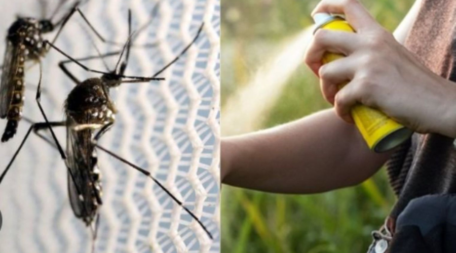 Mosquito Control Barrie 02