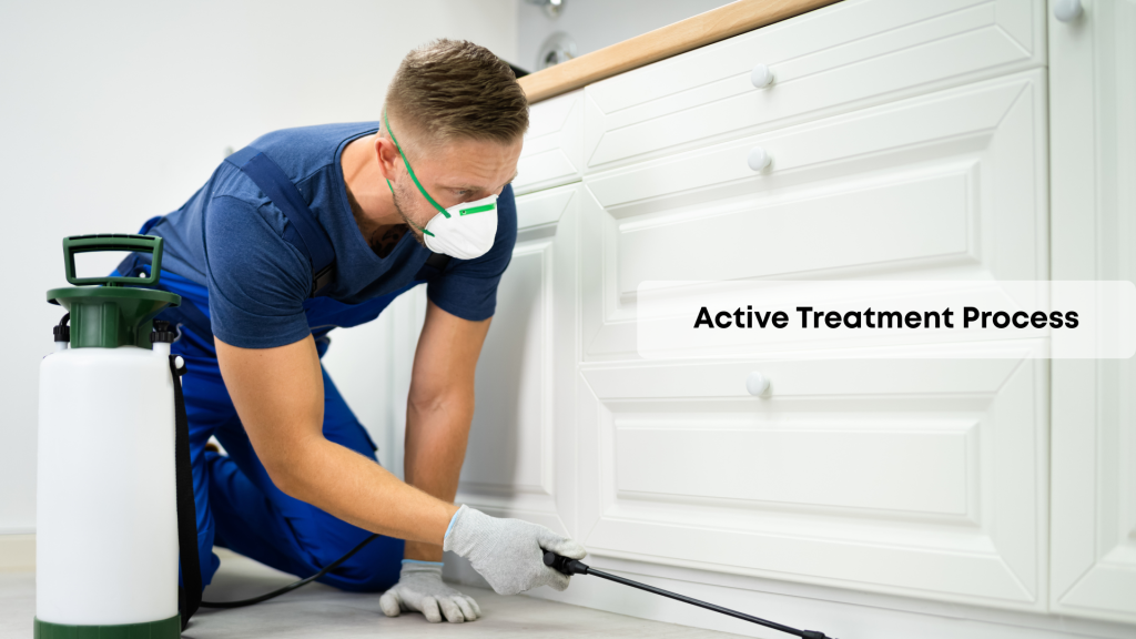 Active Treatment process