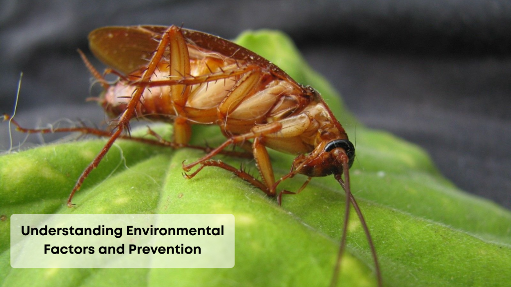 understanding factors and prevention