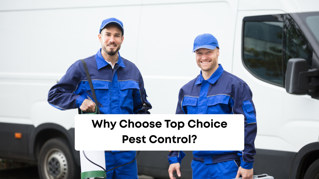 Why choose top choice