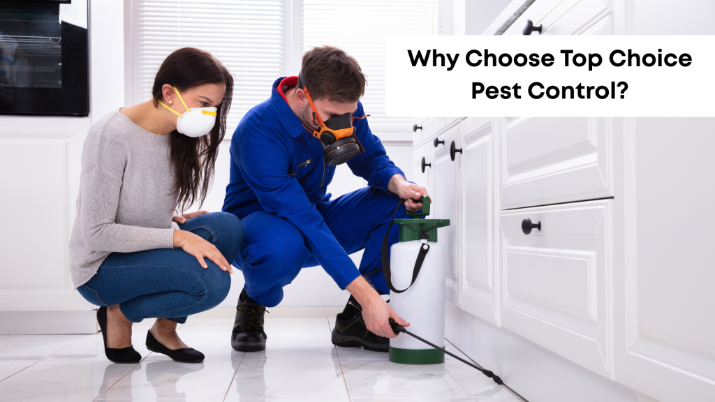 why choose top choice pest control