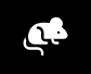 Rats Control