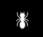 Carpenter Ant  Control