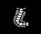 Centipede Control