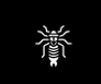 Earwig Control