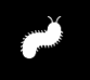 Millepede Removal Control