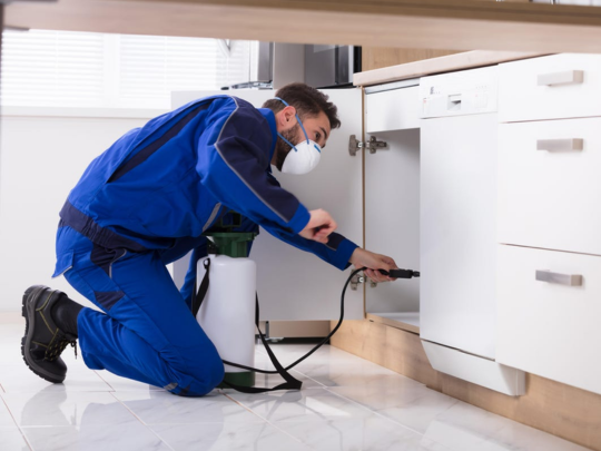 Effective pest control
