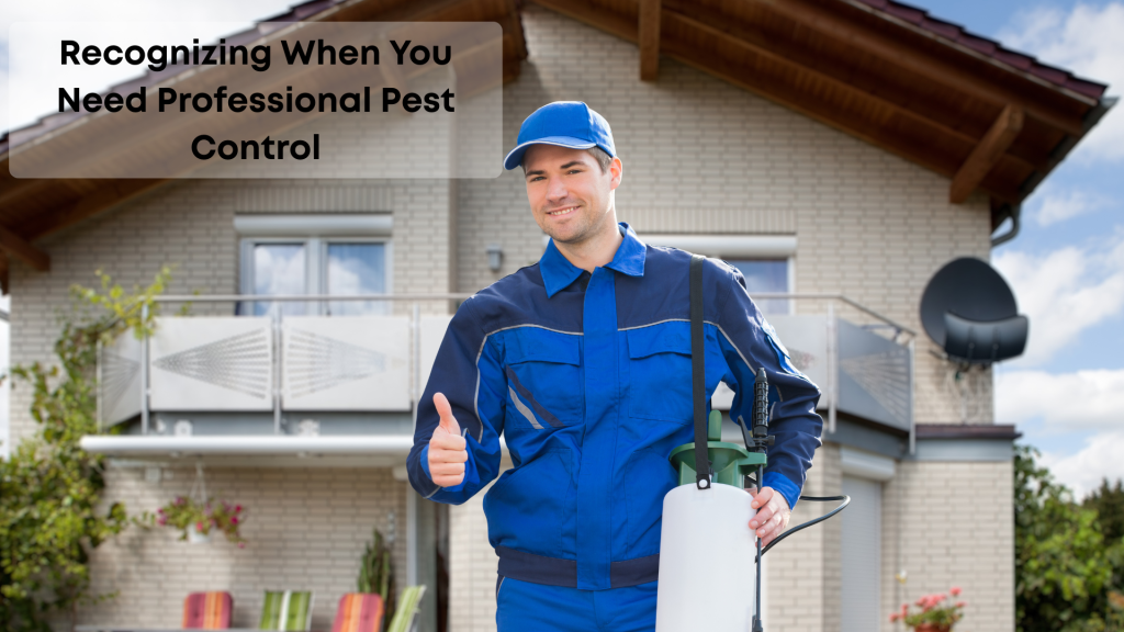 pest control 01