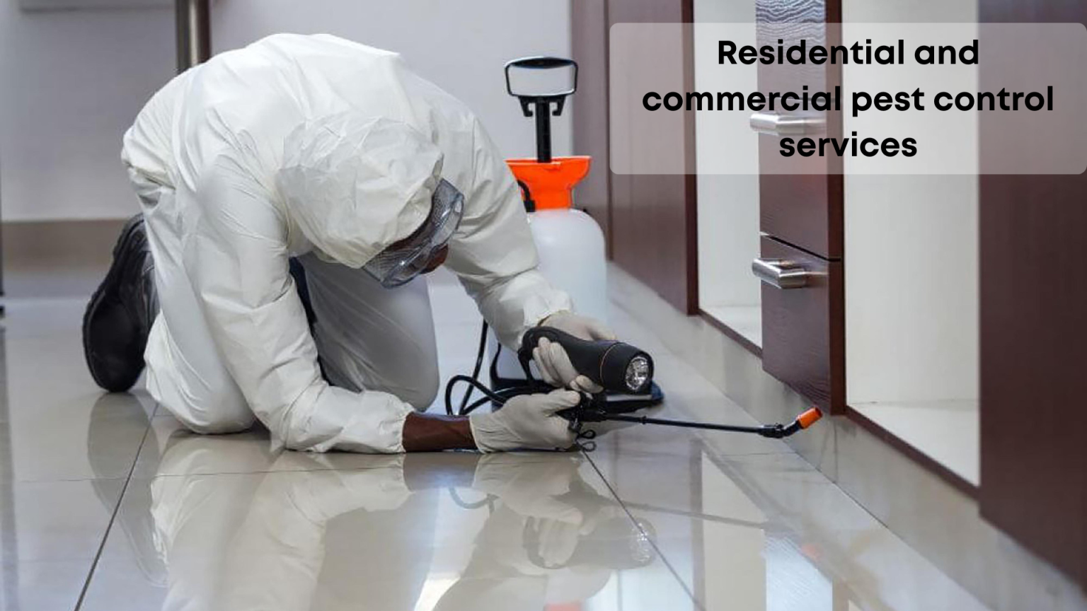 What Is Pest Control? A Complete Guide