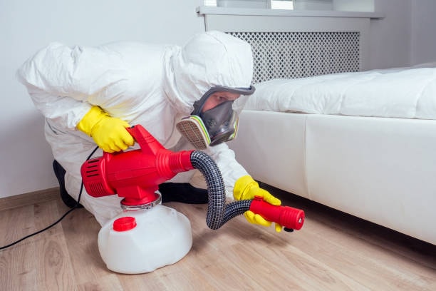 bed bug exterminator