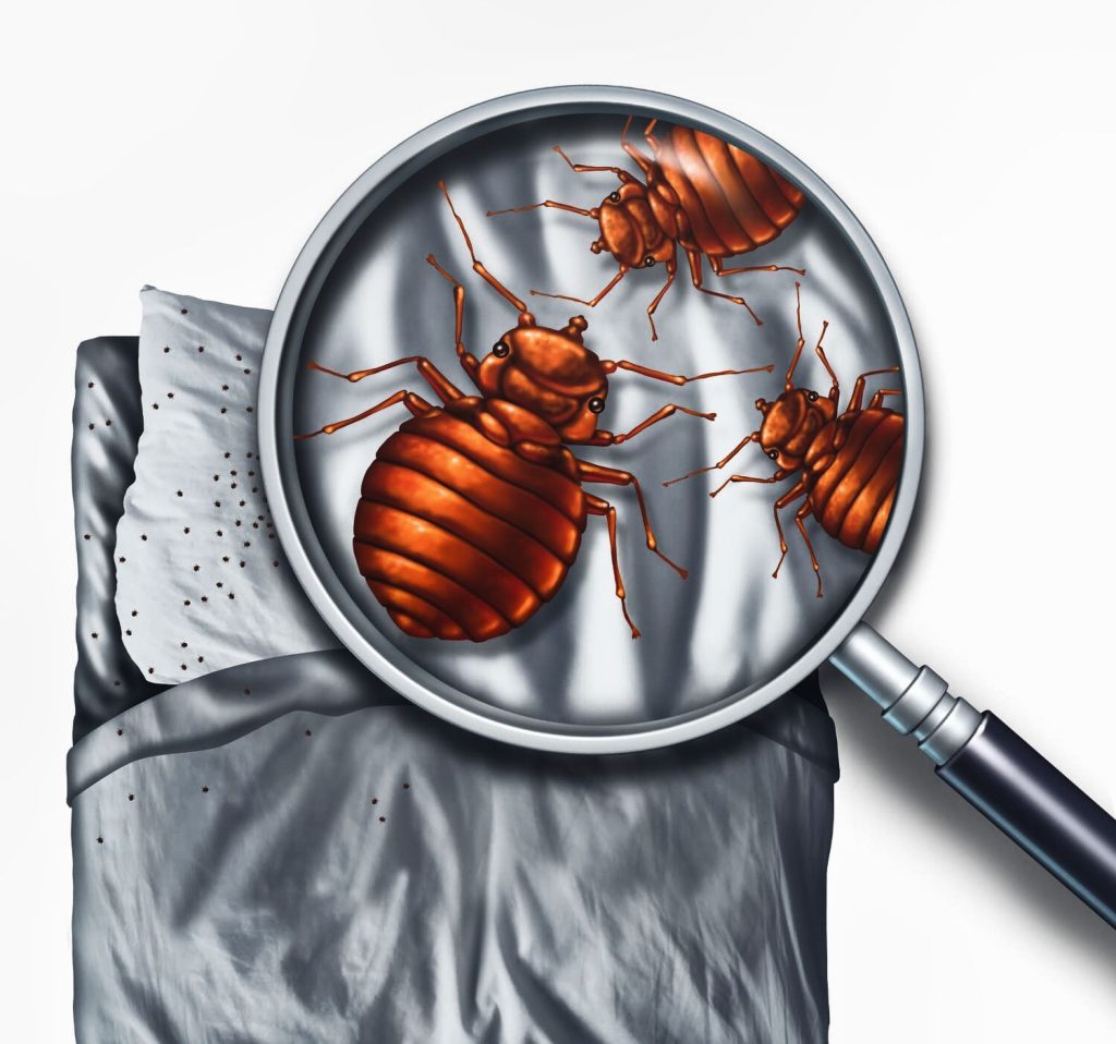 cockroach control