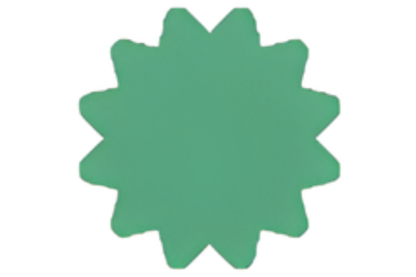 Certified and experienced pest controllers