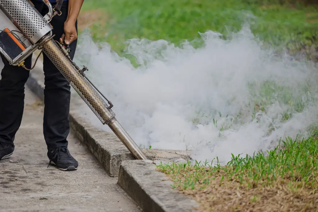 mosquito control 01
