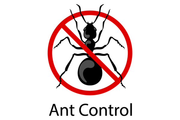 ant control