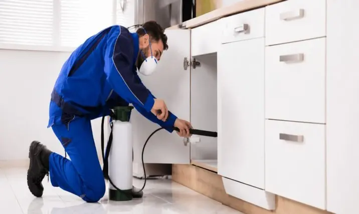 pest control service