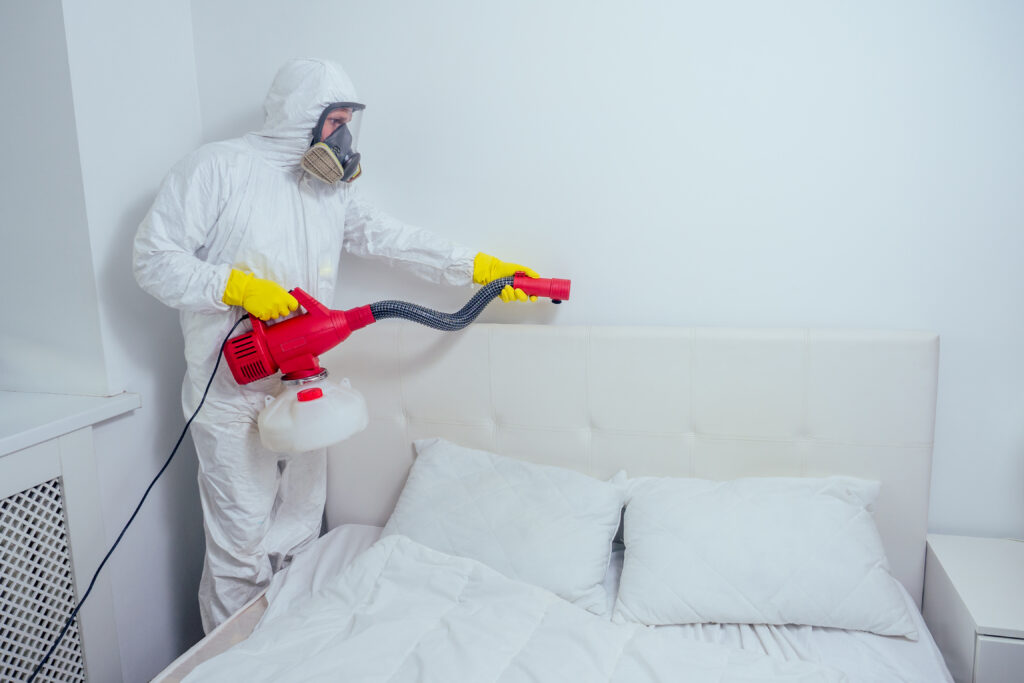bed bug treatment